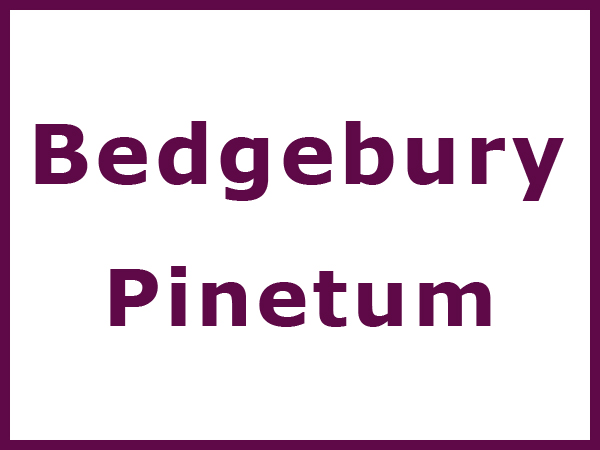 bedgebury pinetum