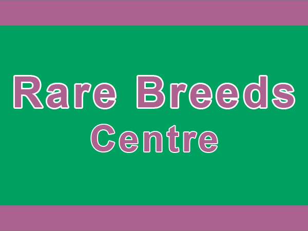 rare breeds centre