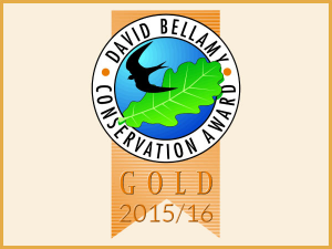 david bellamy gold award camp site