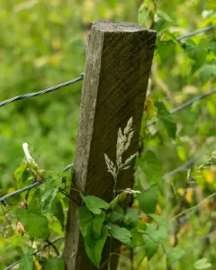 Tanner-Farm-Park-Nature-Luis-Sanchez- (37)