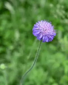Tanner-Farm-Park-Nature-Luis-Sanchez- (45)